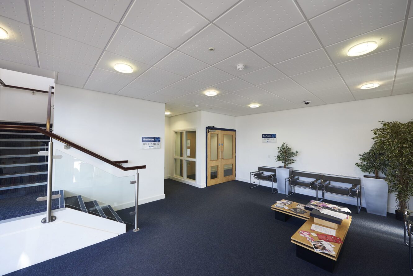 Modern office waiting area with blue carpet, metal benches, a coffee table with magazines, potted plants, and a staircase with glass railing.