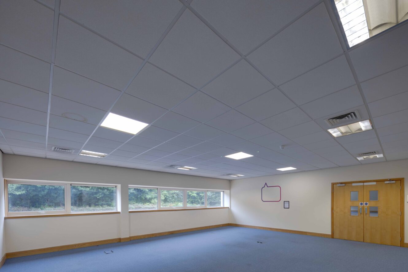 A vacant office room with blue carpet, white ceiling tiles, fluorescent lighting, four windows, and double wooden doors.