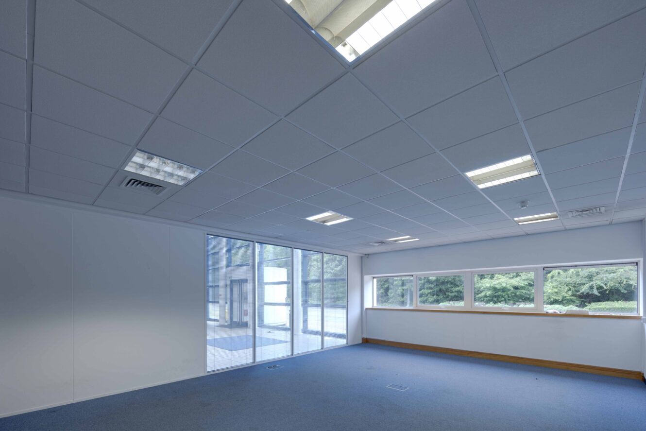 Empty office room with blue carpet, white walls, a suspended ceiling with fluorescent lights, large windows, and a glass door leading outside.