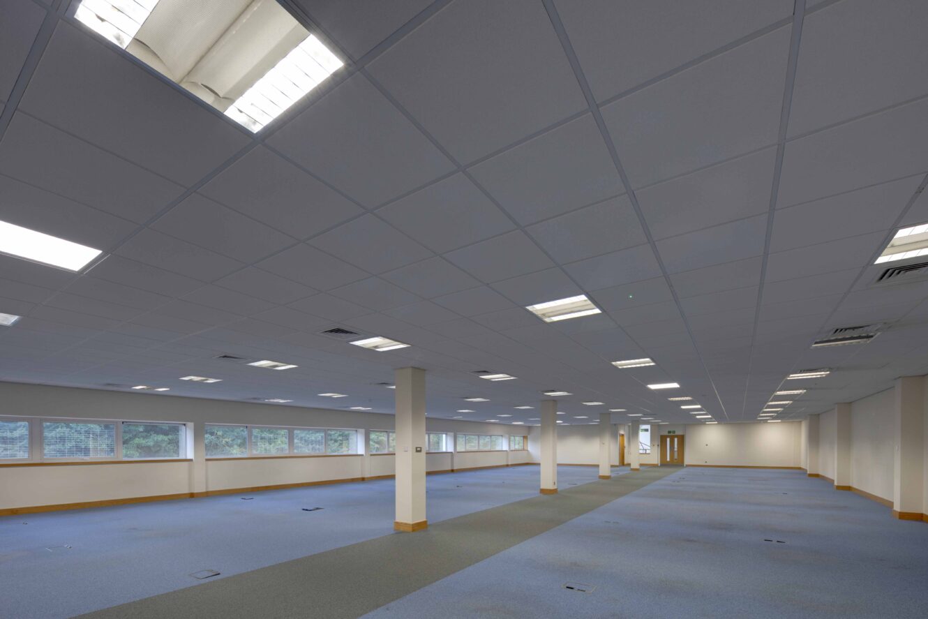 Large, empty office space with blue carpet, white ceiling tiles, fluorescent lighting, and multiple support columns; windows line one wall.