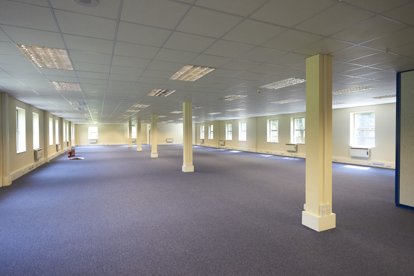 Large empty office space with blue carpet, fluorescent lights, and windows along the walls. Several columns are evenly spaced throughout the room.