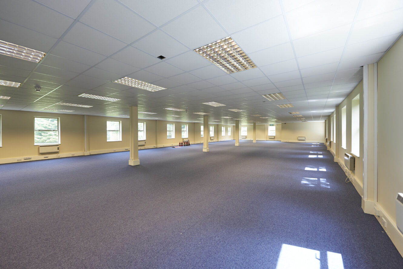 Large empty office space with blue carpet, white ceiling tiles, fluorescent lighting, and several columns. Multiple windows line the walls, allowing natural light to enter.