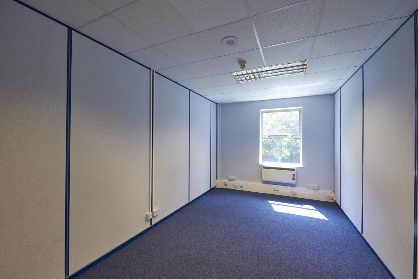 Empty office room with white partition walls, blue carpet, ceiling tiles, a single window letting in daylight, and fluorescent lights.