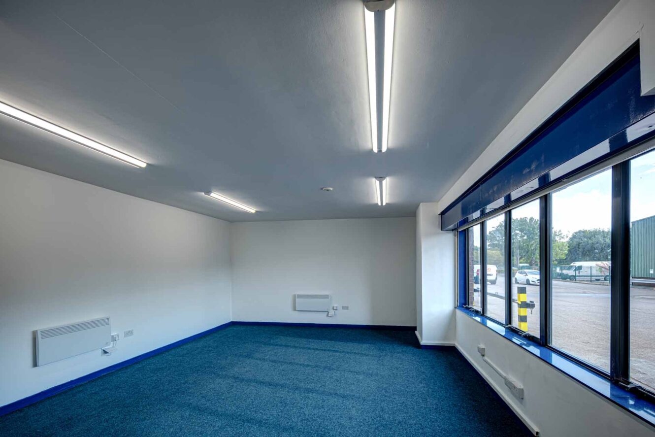 Empty office room with white walls, blue carpet, ceiling lights, and large windows on one side showing an outside parking lot and buildings.