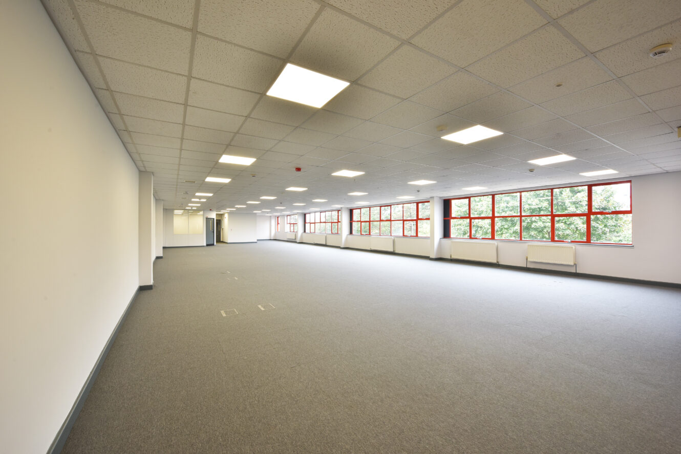 A large, empty office space with gray carpet, white walls, ceiling lights, and rows of red-framed windows along one side showing trees outside.