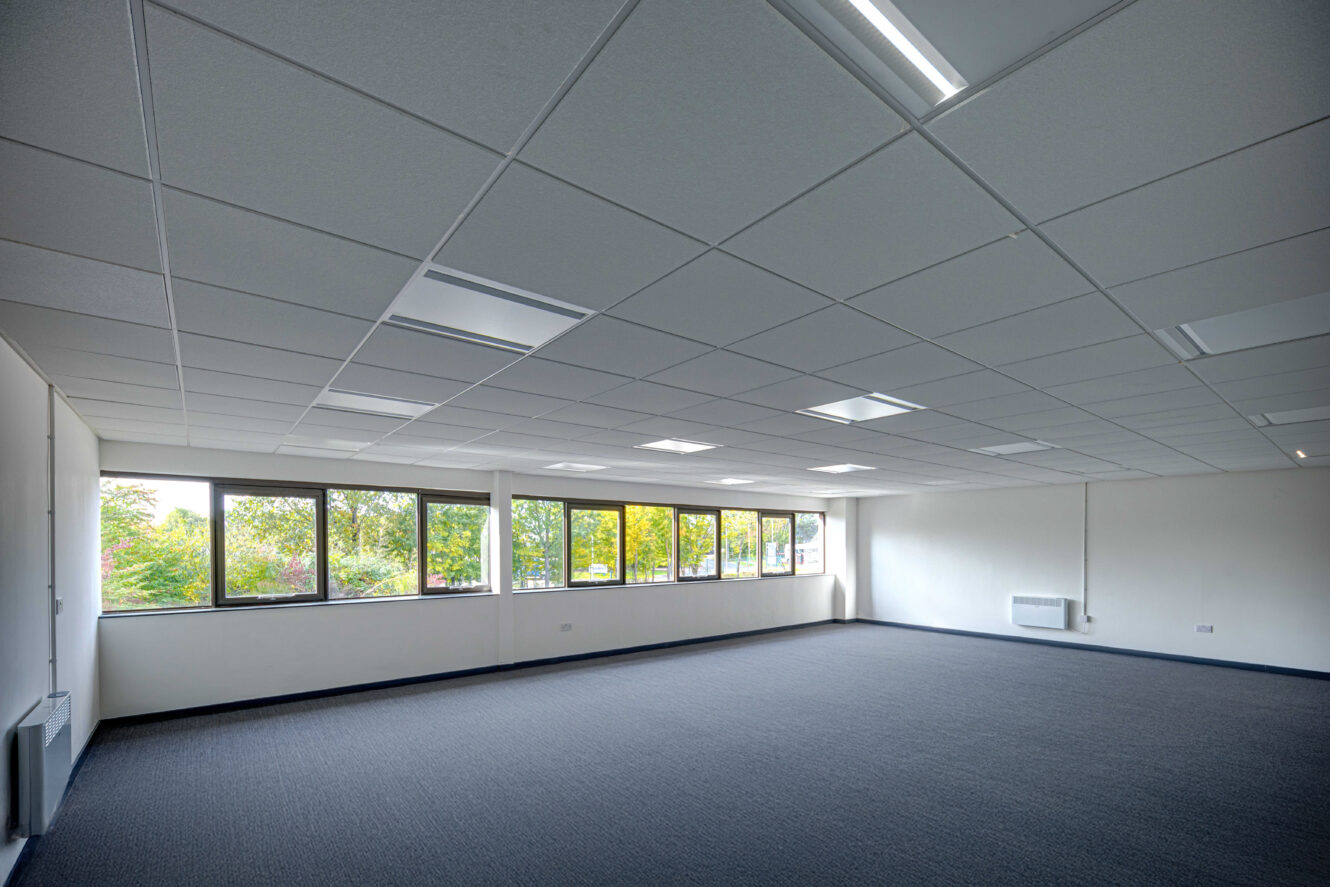 Empty office space with white walls, gray carpet, ceiling lights, and large windows letting in natural light and showing greenery outside.