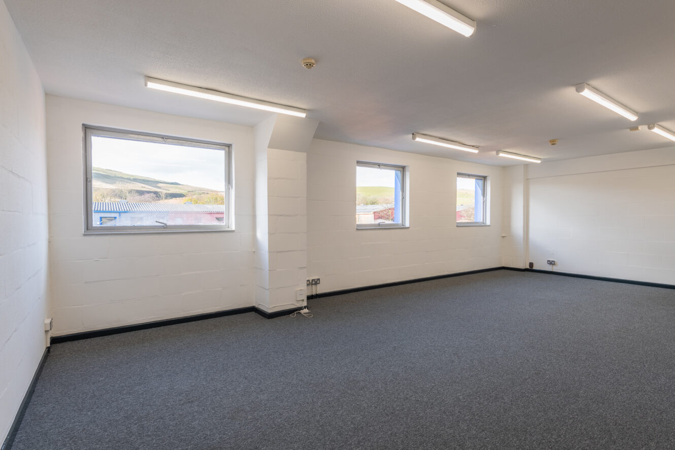 Empty office room with white walls, gray carpet, three windows with outdoor views, and ceiling fluorescent lights.