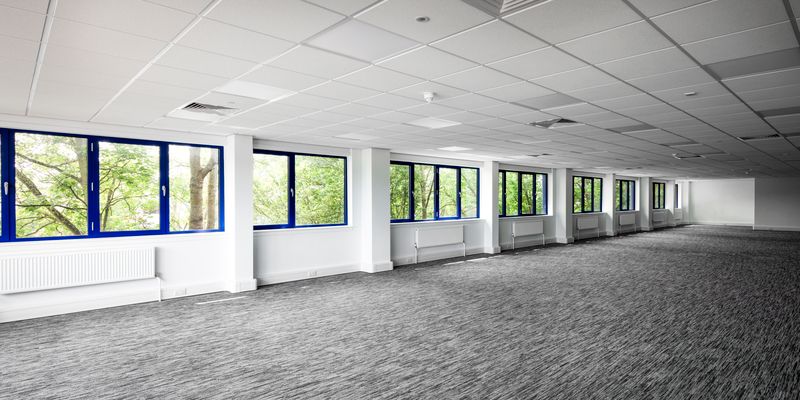 Empty office space with gray carpet, white walls, blue-framed windows, and ceiling panels, with natural light coming through the windows showing trees outside.