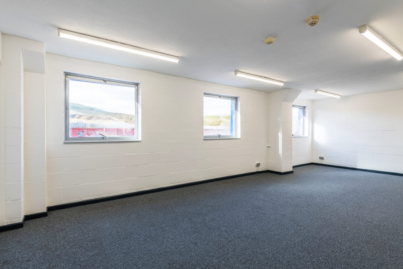 Empty office room with white painted brick walls, three windows letting in natural light, fluorescent ceiling lights, and grey carpeted floor.