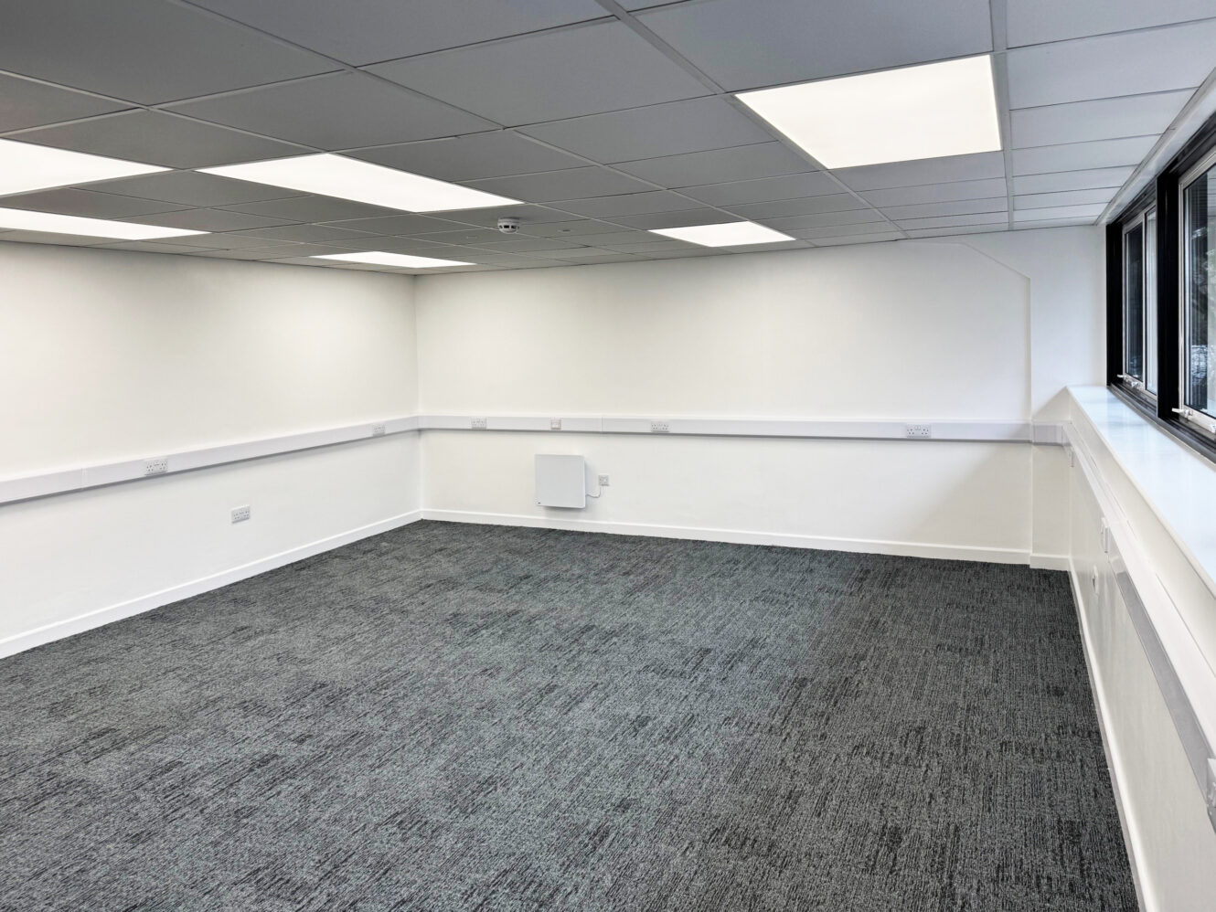 An empty office room with white walls, a gray carpet, a drop ceiling with fluorescent lights, and large windows on one side.