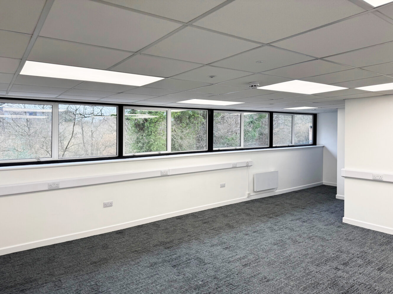 Empty office space with gray carpet, white walls, ceiling lights, and a long row of windows overlooking trees.