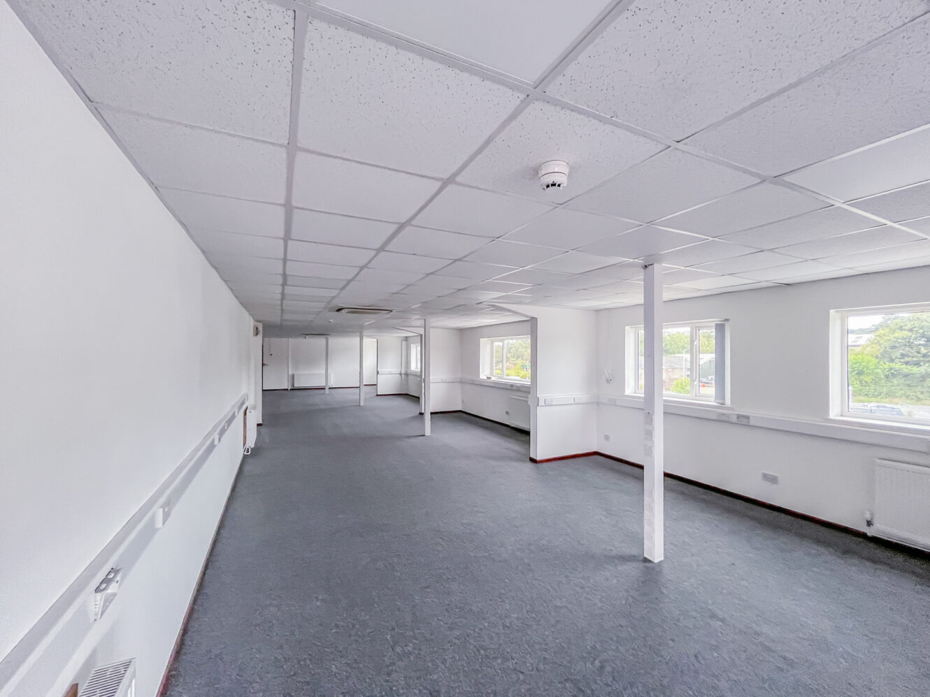 Empty office space with white walls, grey carpet, ceiling tiles, pillars, and several windows letting in natural light.