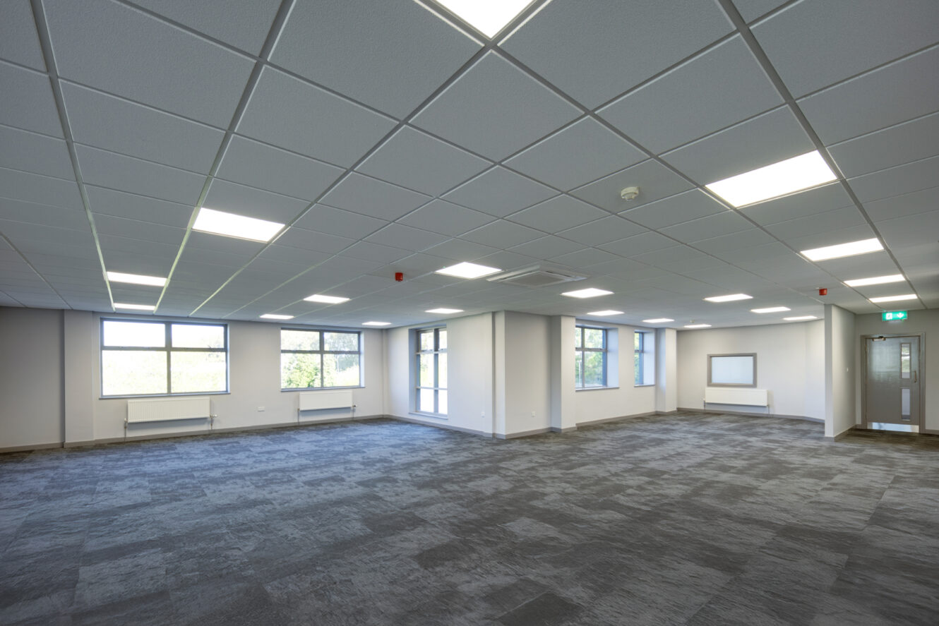 Empty modern office space with gray carpet, white walls, large windows, and ceiling lights.
