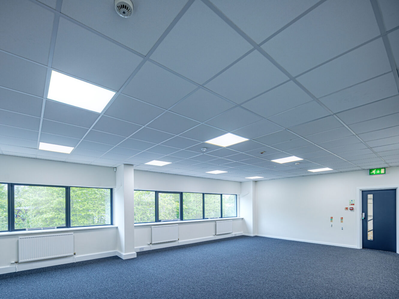 An empty office room with blue carpet, large windows along one wall, and a suspended ceiling with recessed lighting.