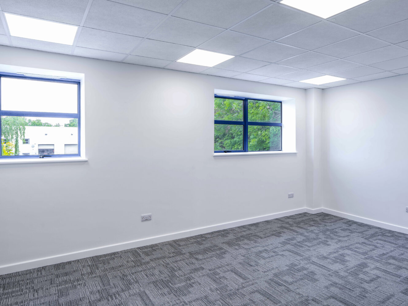 Empty office room with white walls, gray carpet, two large windows, and overhead fluorescent lighting.