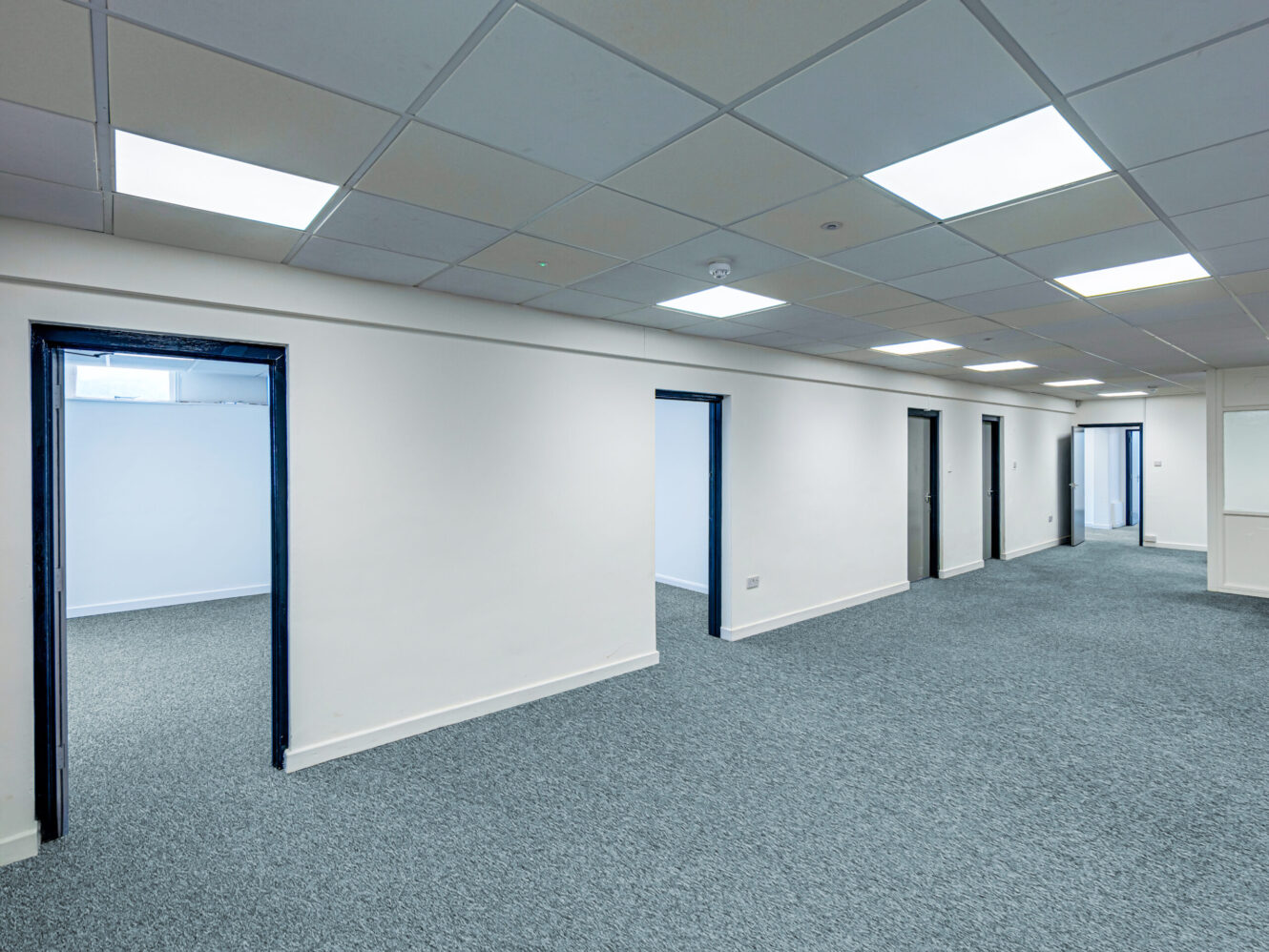 A modern office hallway with gray carpet, white walls, blue door frames, and several doors leading to separate rooms, lit by ceiling lights.