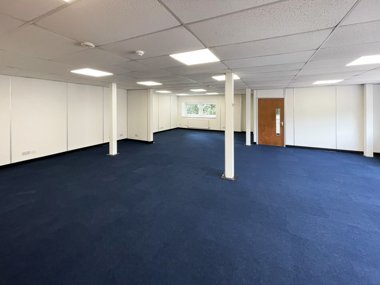 A spacious, empty office room with blue carpet, white walls, support columns, ceiling lights, a wooden door, and a window letting in natural light.