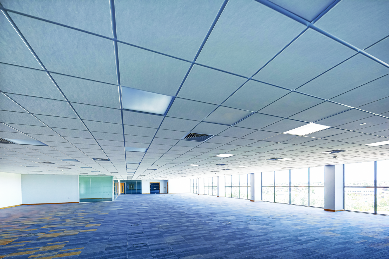 Large empty office space with blue patterned carpet, grid ceiling with lights, and floor-to-ceiling windows along one wall, letting in natural light.