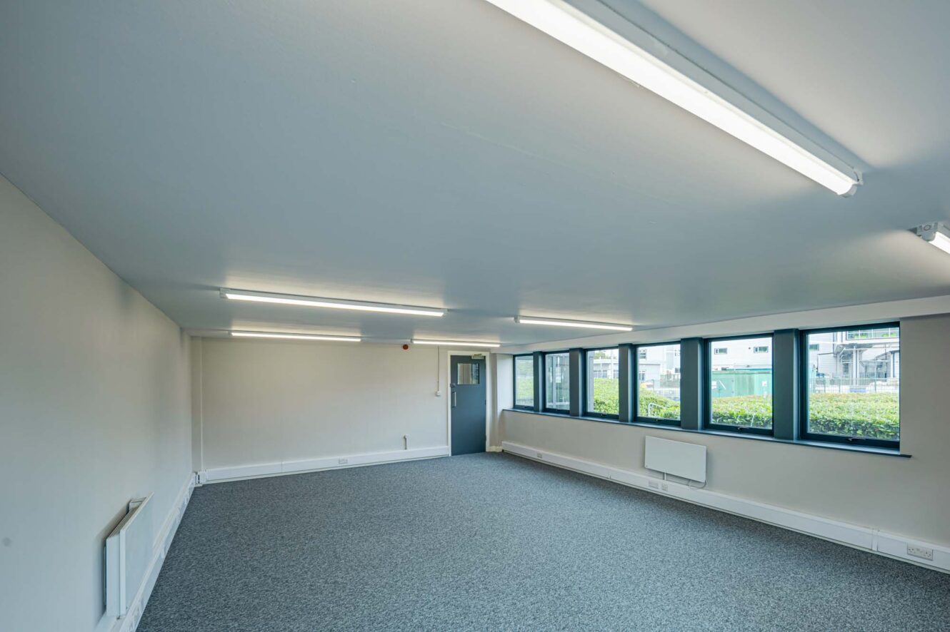 Empty office room with grey carpet, white walls, multiple fluorescent ceiling lights, a blue door, and several windows along one wall.