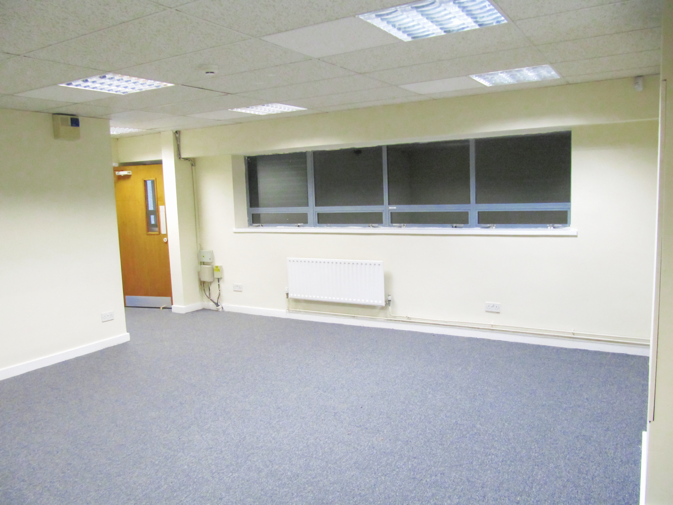 Empty office room with blue carpet, off-white walls, fluorescent ceiling lights, a wooden door, and a row of windows on one wall.