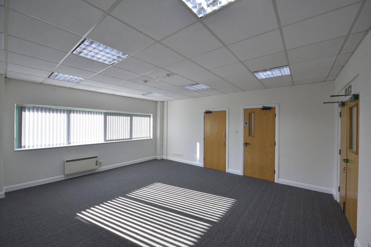 Empty office room with grey carpet, white walls, ceiling lights, two wooden doors, a window with vertical blinds, and sunlight casting shadows on the floor.