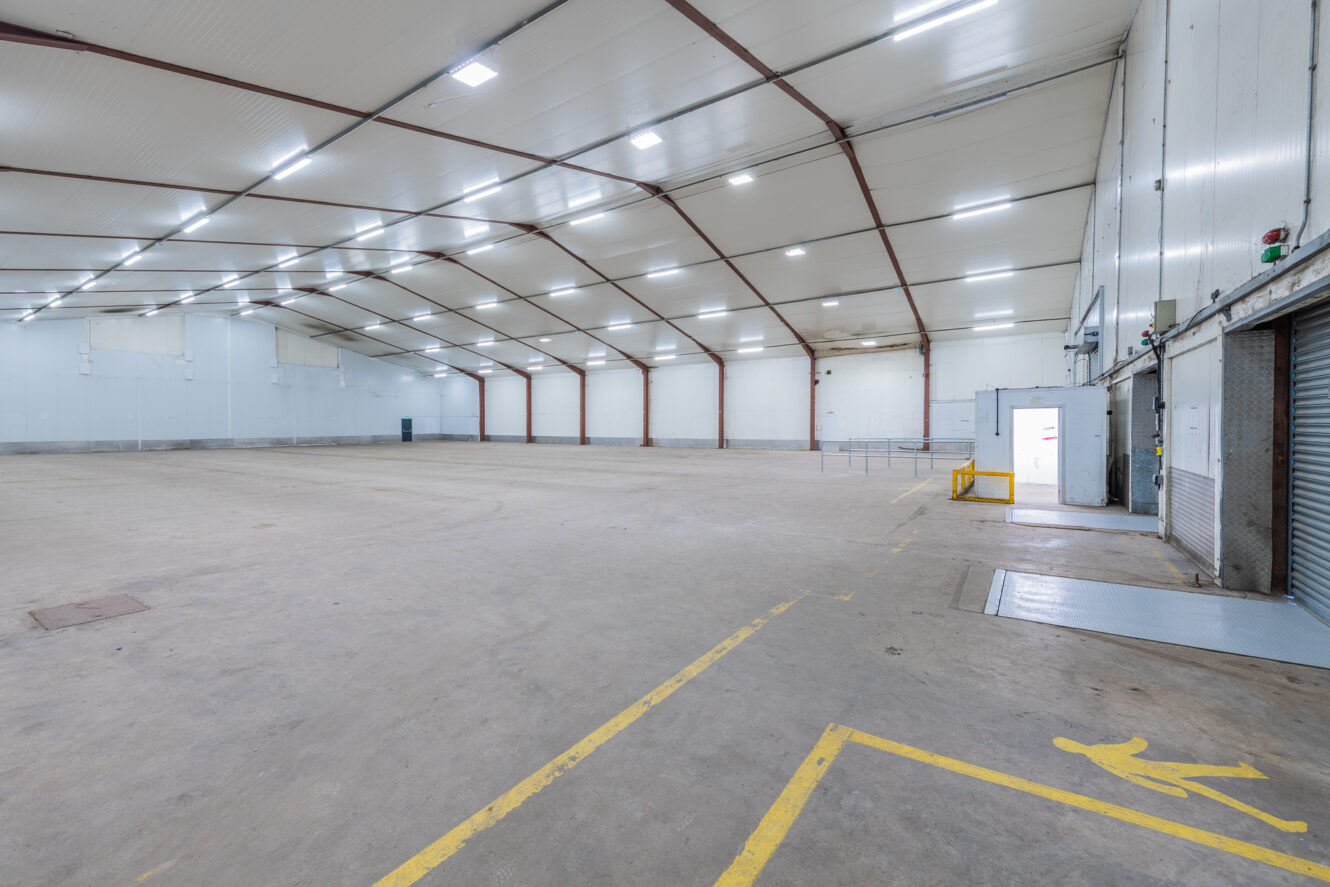 Large empty warehouse with high white ceiling, exposed beams, concrete floor, yellow safety markings near a loading bay door.