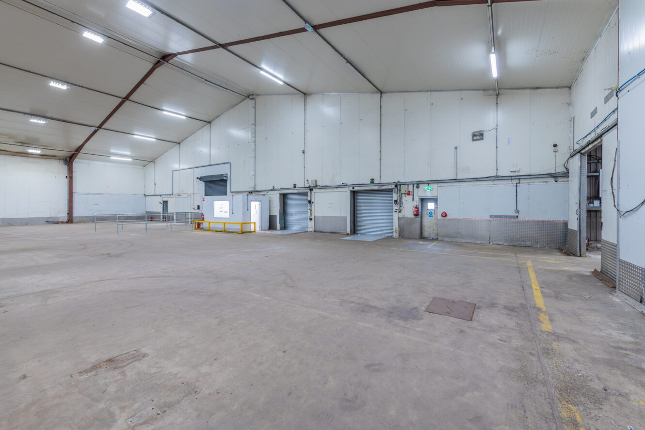 Spacious empty warehouse interior with high ceiling, white walls, concrete floor, roller shutter doors, and fluorescent lighting.