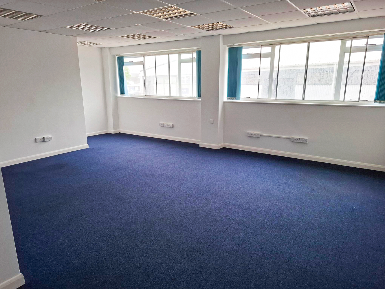 An empty office room featuring blue carpet, white walls, large windows, and overhead fluorescent lighting.