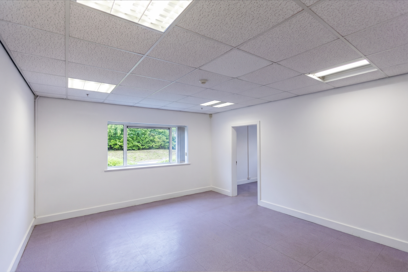 Empty office room with white walls, tiled ceiling, fluorescent lighting, a window revealing greenery outside, and an open doorway leading to another area.