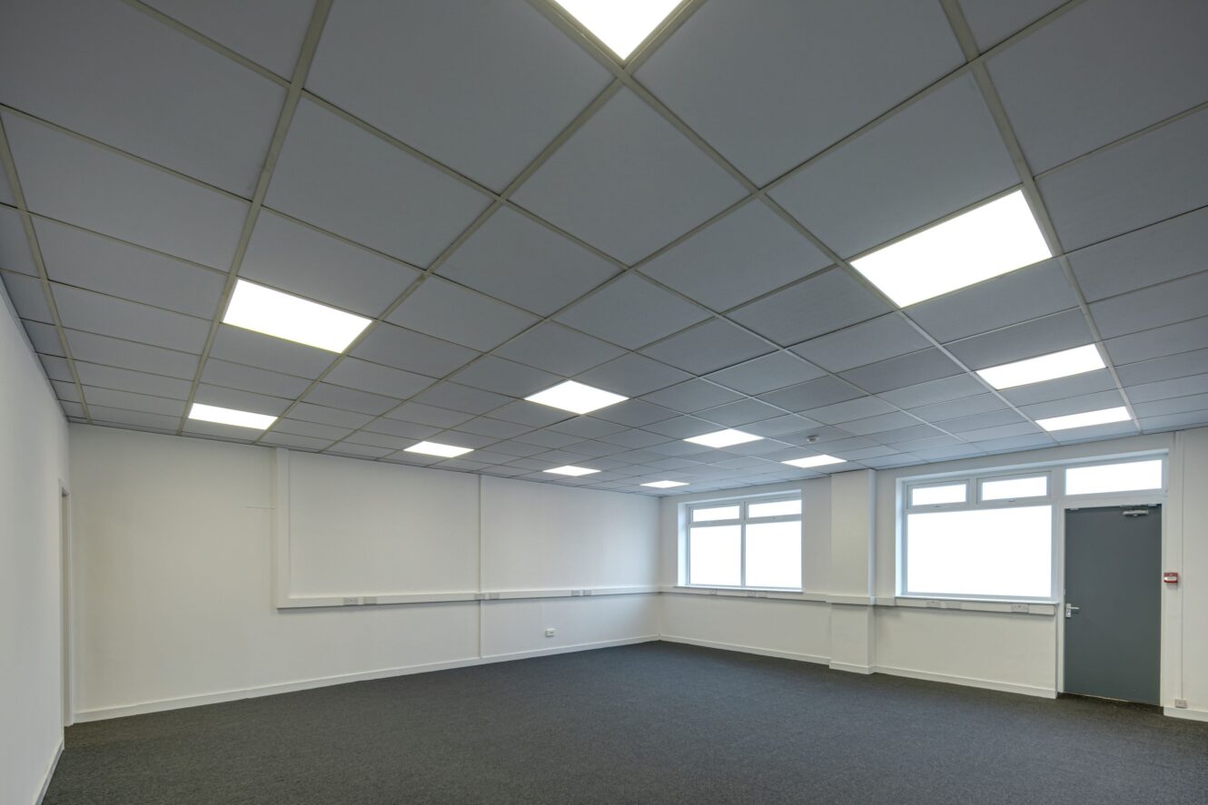 Empty office room with white walls, grey carpet, large windows, and a grey door. The ceiling features evenly spaced rectangular fluorescent lights.