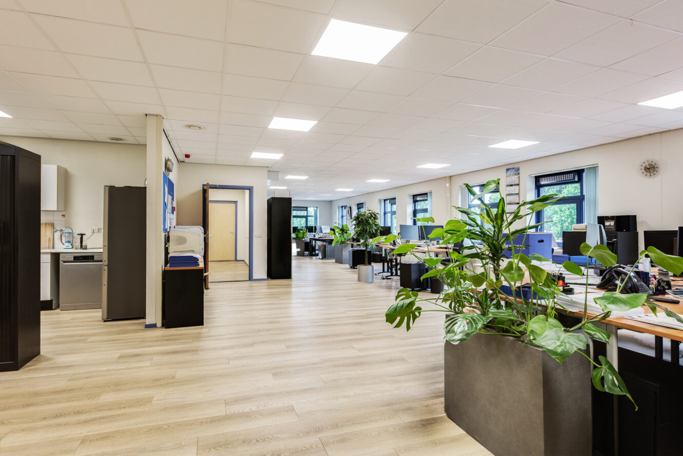 Ruim modern kantoor met bureaus, computers, stoelen, grote planten in potten, lichte houten vloeren, witte plafondtegels en ramen die natuurlijk licht binnenlaten.