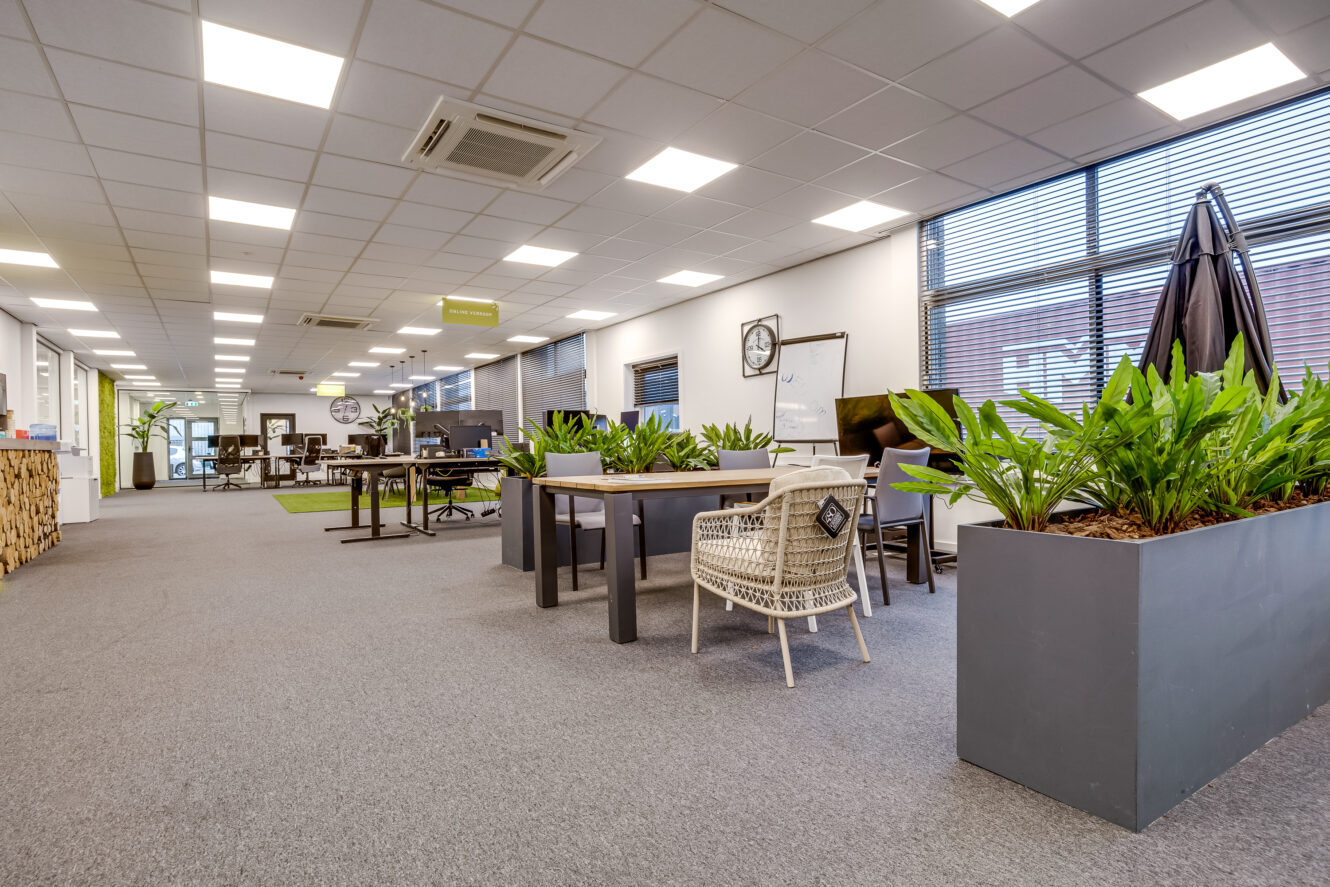 Open kantoor met bureaus, stoelen, planten in potten en grote ramen die natuurlijk licht toelaten; moderne, nette en ruime omgeving.