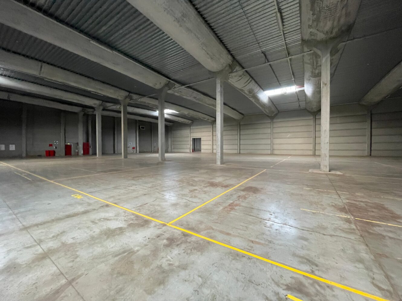 Groot, leeg industrieel pakhuis met betonnen vloeren, hoge plafonds, steunpilaren en gemarkeerde gele lijnen op de grond.