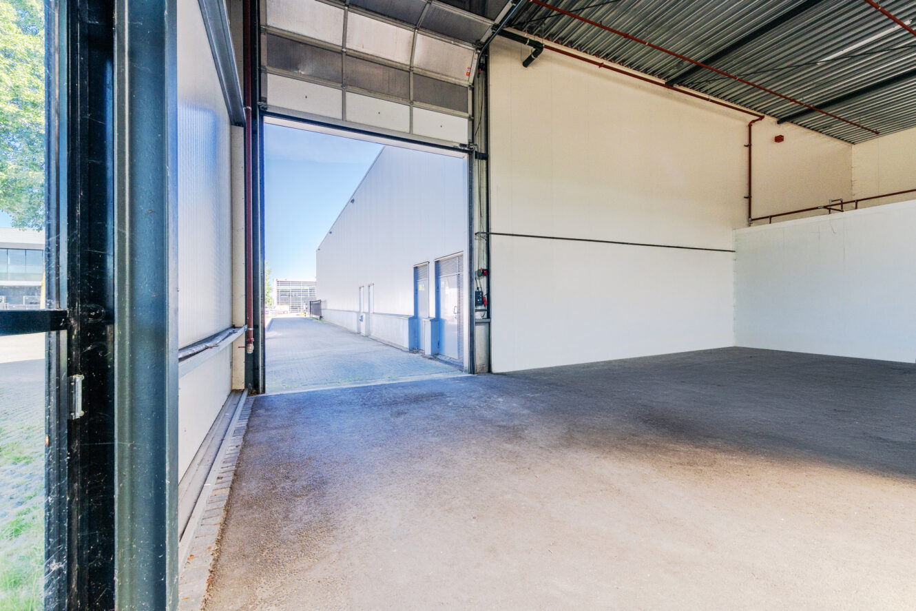 Interieur van een leeg pakhuis met open garagedeur, betonnen vloer, witte muren en zicht op buitengebouwen bij daglicht.