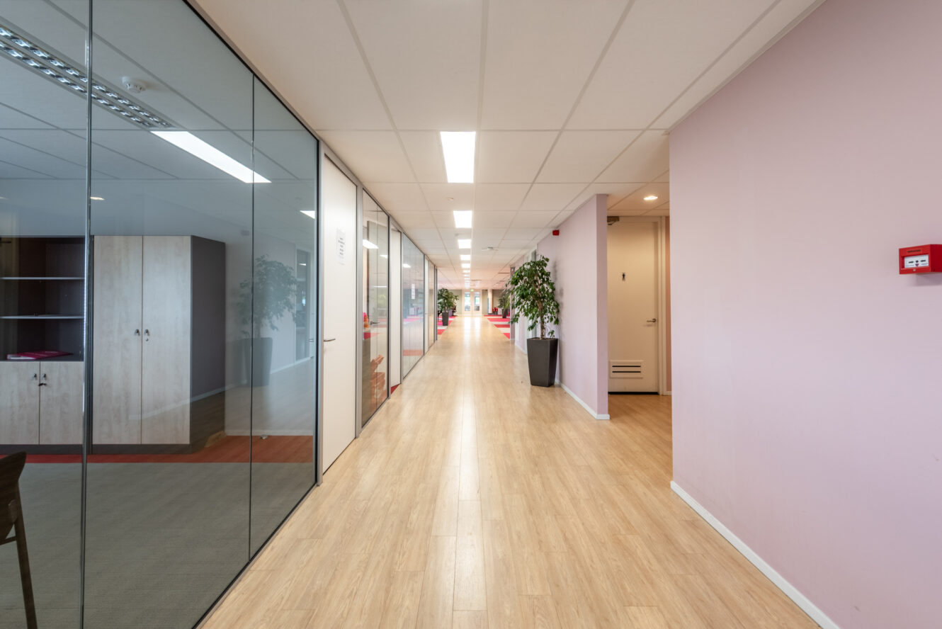 Een moderne kantoorgang met lichte houten vloeren, kantoren met glazen wanden aan de linkerkant, roze muren aan de rechterkant en verschillende potplanten langs de gang.