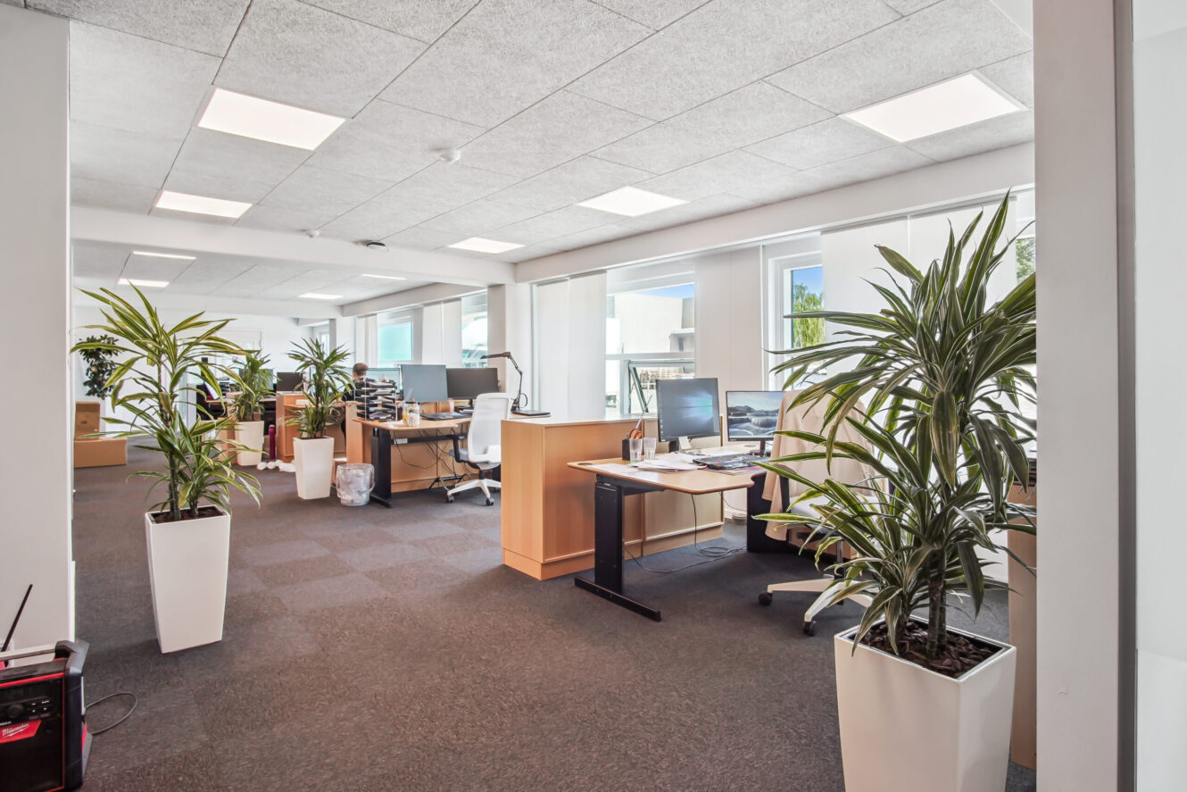 Moderne åbent kontor med skriveborde, stole, computerskærme, potteplanter og store vinduer, der lukker naturligt lys ind.