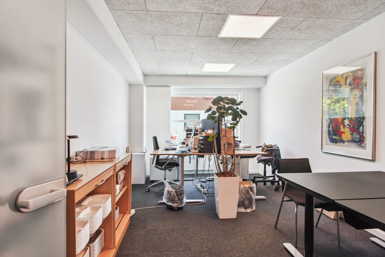 Moderne kontor med skriveborde, stole, computere og kontorartikler samt en stor potteplante i midten og et farverigt abstrakt maleri på væggen.