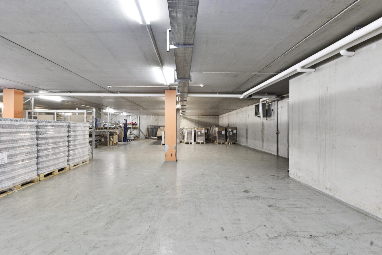 En rummelig lagerhal med betongulve og -vægge, lysstofrør og paller med varer stablet i venstre side.