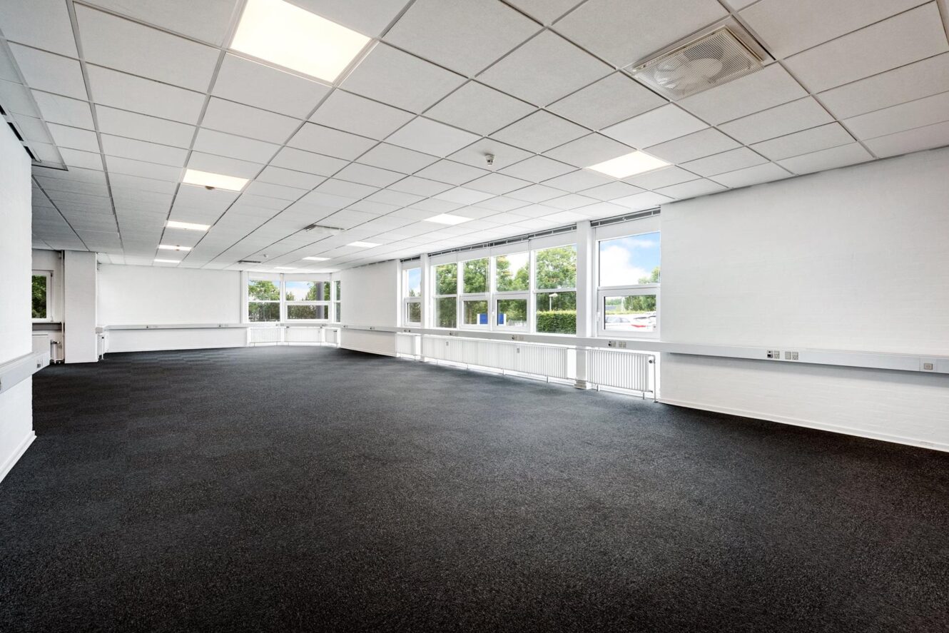 Rummeligt, tomt rum med sort gulvtæppe, hvide vægge, gitterloft, store vinduer og masser af naturligt lys.