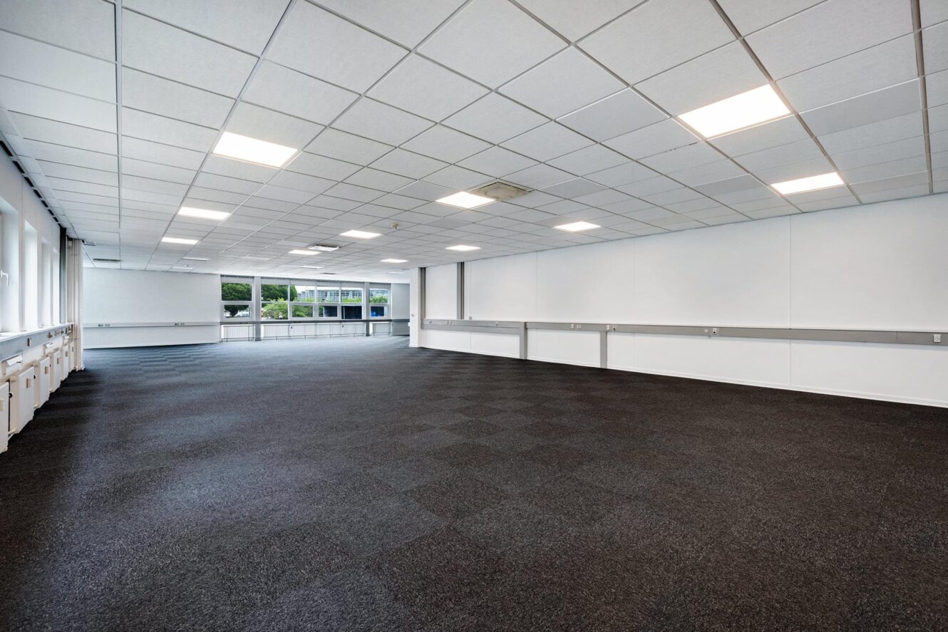 Stort tomt rum med et gitter af loftslamper, hvide vægge, mørkt gulvtæppe og vinduer langs den ene side, der lukker naturligt lys ind.