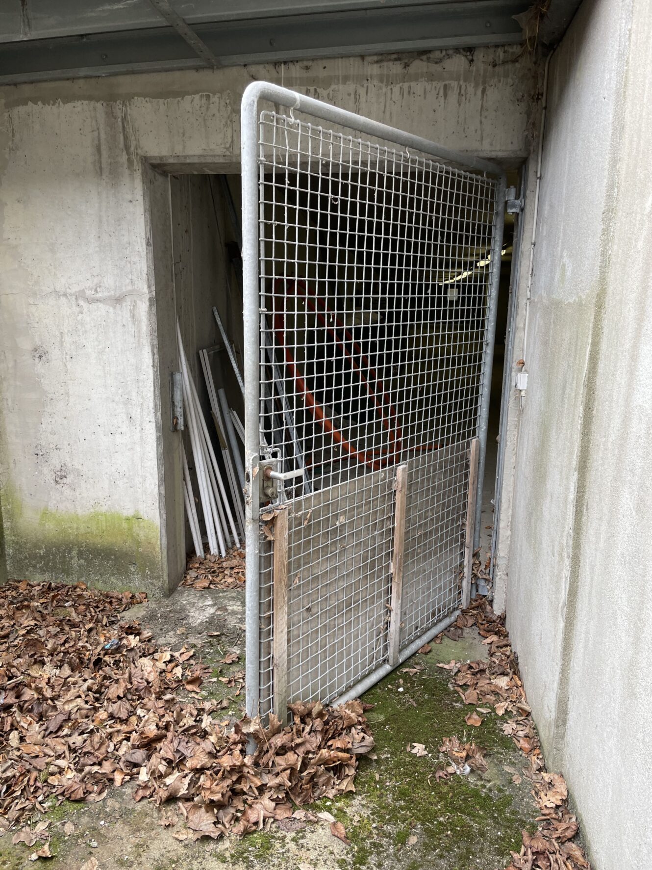 En delvist åben port af metalnet er fastgjort til en betonkonstruktion. Tørre blade dækker jorden, og metalrør er gemt inde i døråbningen.