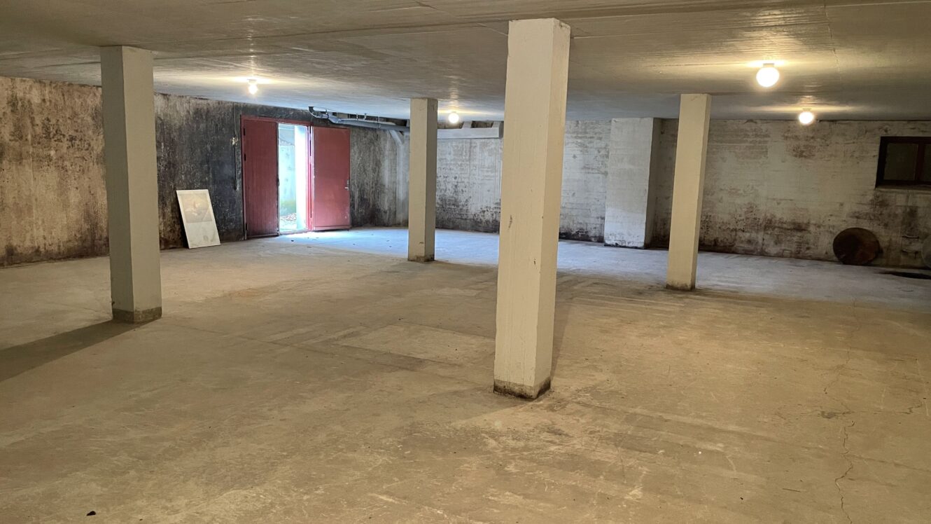 Rummelig, tom kælder med betongulv og søjler, blottede lyspærer og en åben rød dør, der fører ud. Væggene har synlige fugtpletter.