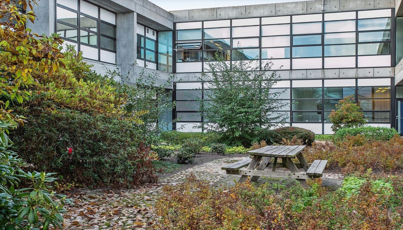 Et picnicbord i træ står i en lille gårdhave omgivet af buske og efterårsblade ved siden af en moderne bygning med store gittervinduer.