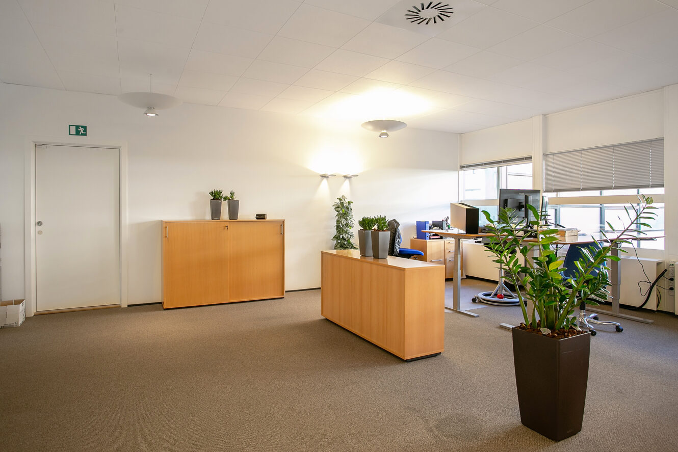 Et moderne kontor med beige gulvtæppe, lyse træmøbler, flere grønne potteplanter, skriveborde med computere og store vinduer, der giver naturligt lys.