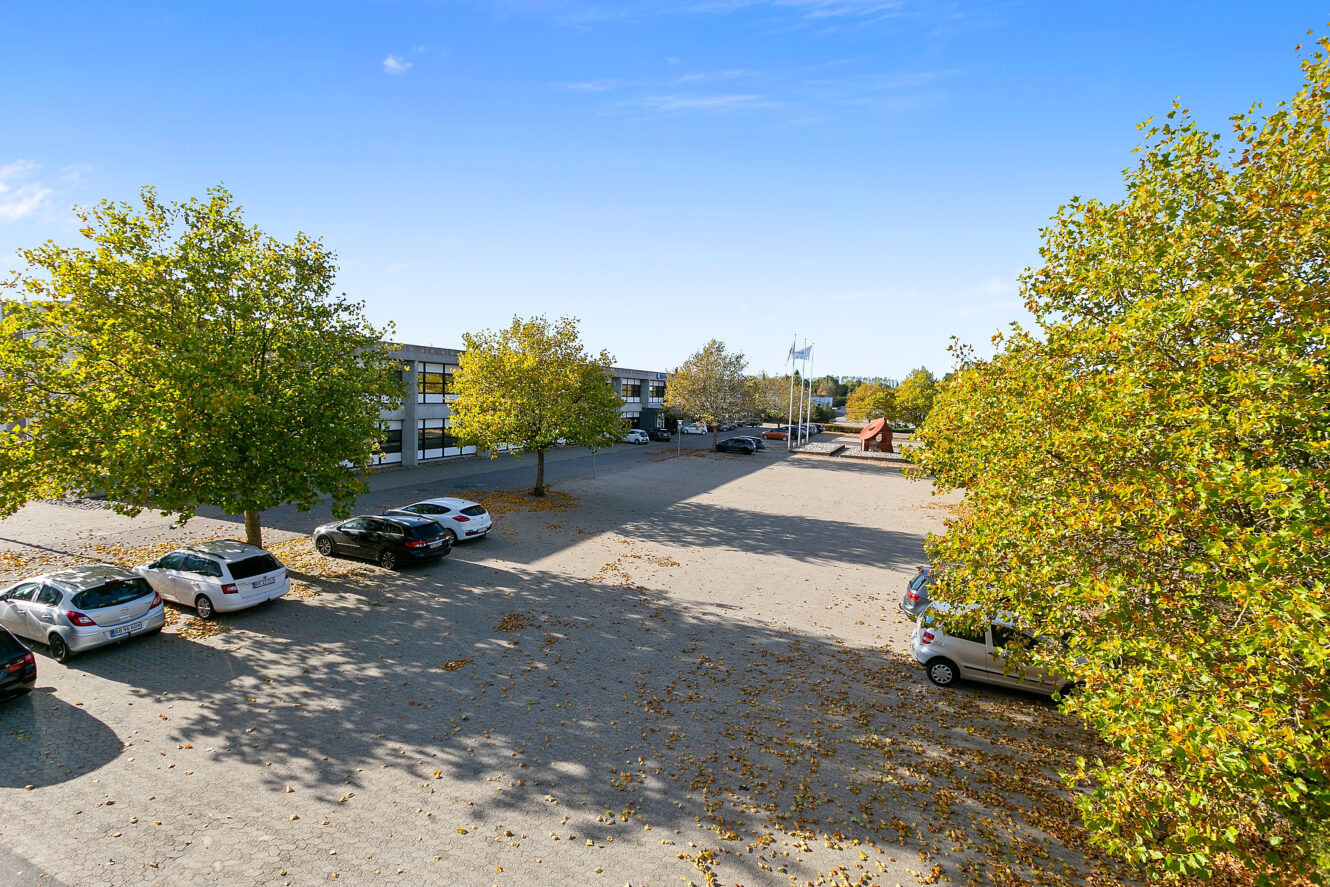En asfalteret parkeringsplads med flere parkerede biler, omgivet af træer med grønne og gule blade, under en klar blå himmel.