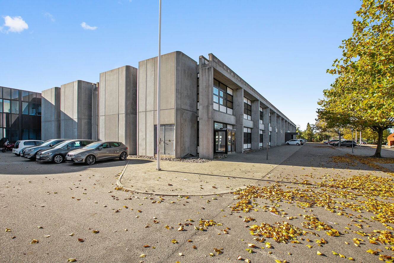 En moderne erhvervsbygning i beton med store vinduer, parkerede biler til venstre og spredte efterårsblade på jorden under en klar himmel.