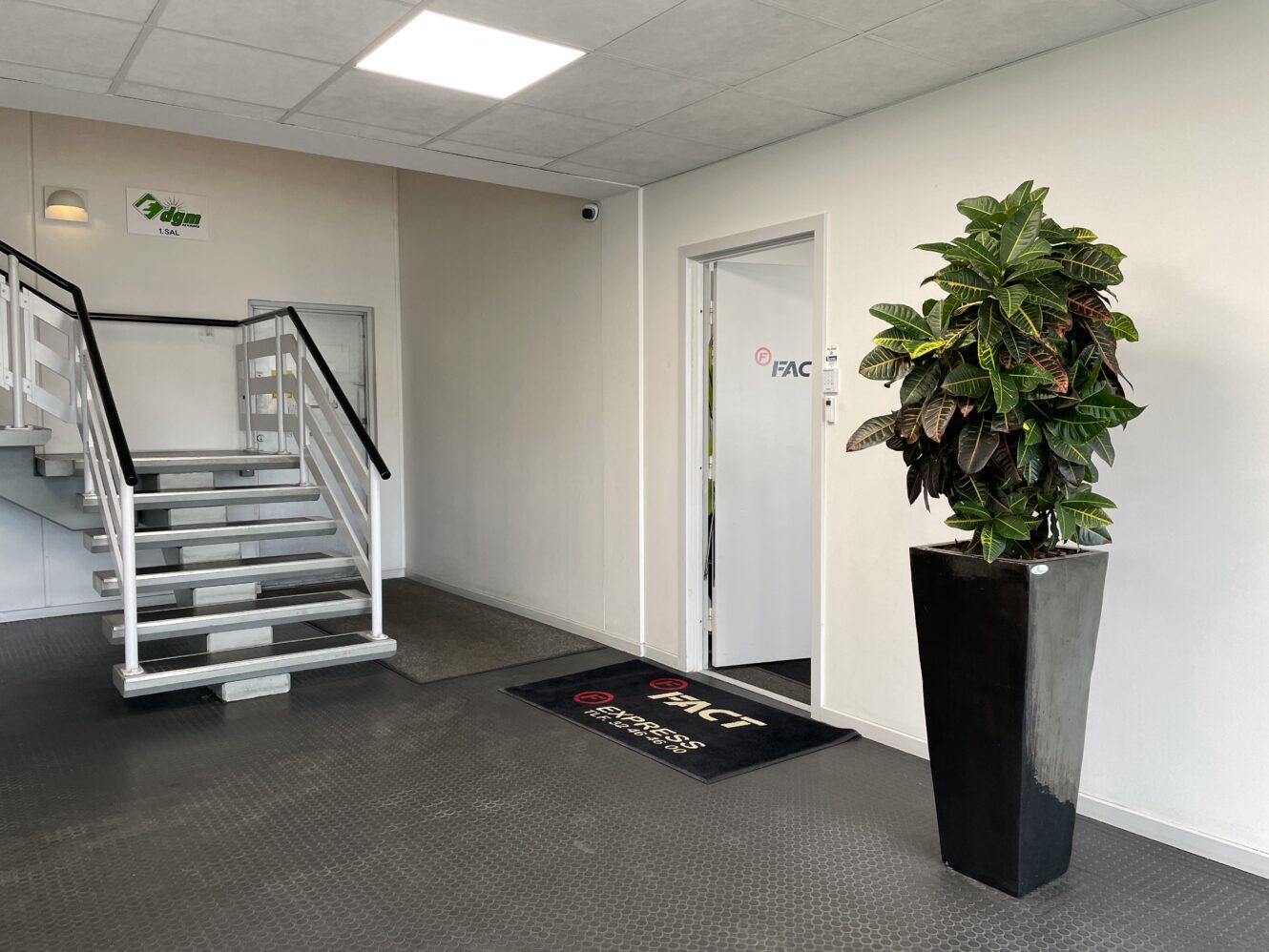 Kontorgang med en trappe til venstre, en høj potteplante til højre og en dør med et logo og en sort gulvmåtte foran.