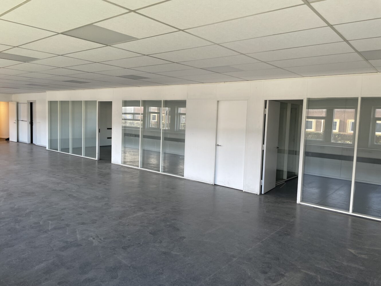 Tomme kontorlokaler med glasvægge, hvide loftsplader og store vinduer, der lukker naturligt lys ind.