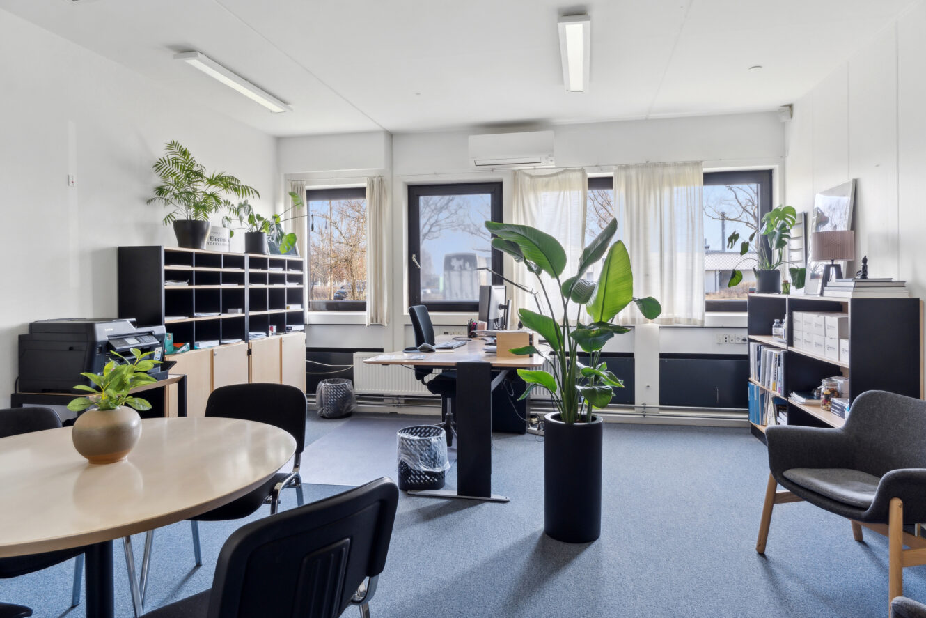 Moderne kontor med skriveborde, stole, bogreoler, planter og store vinduer, der lukker naturligt lys ind.