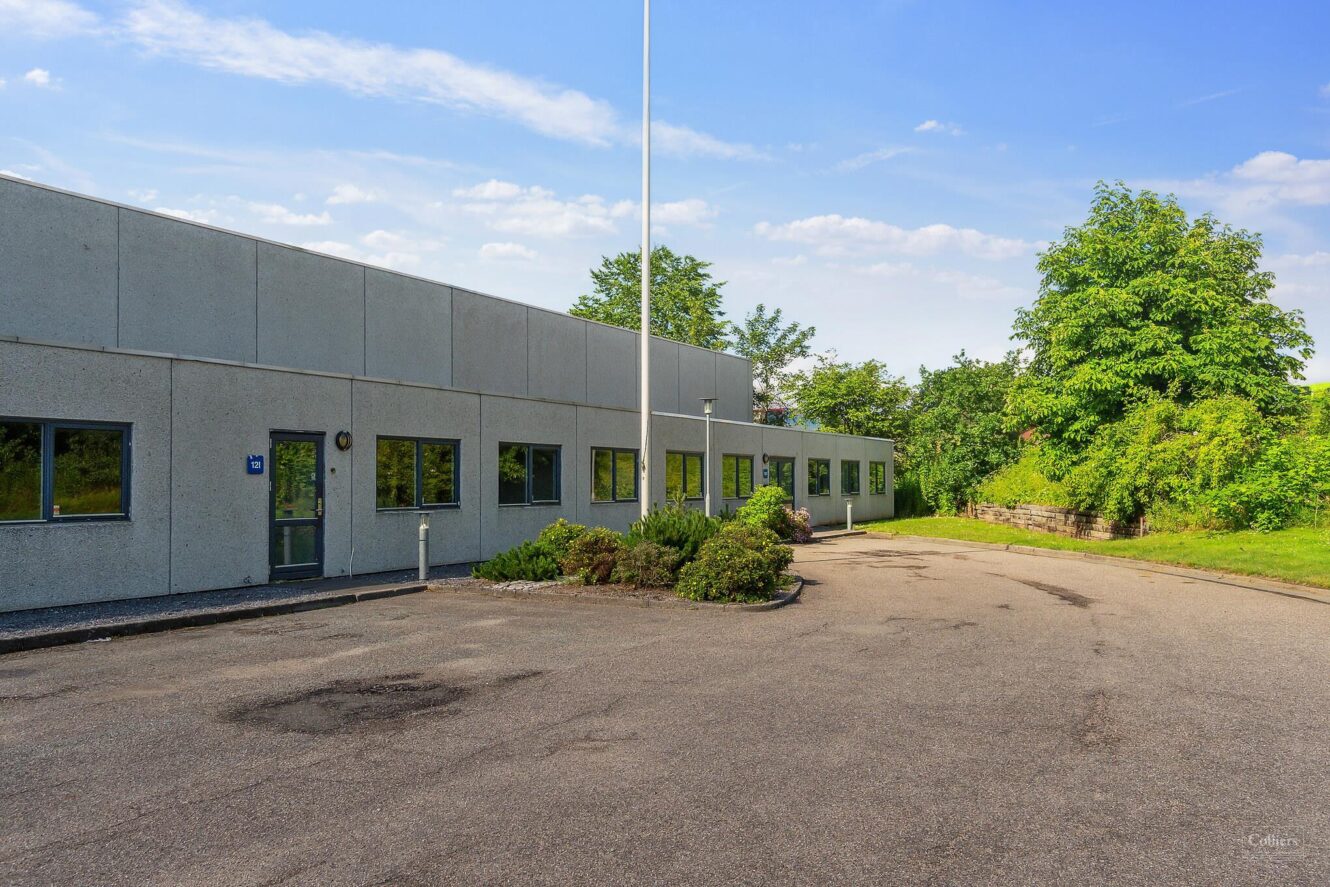 Grå erhvervsbygning i én etage med flere vinduer, en dør og en stort set tom parkeringsplads omgivet af grønne træer og buske under en blå himmel.